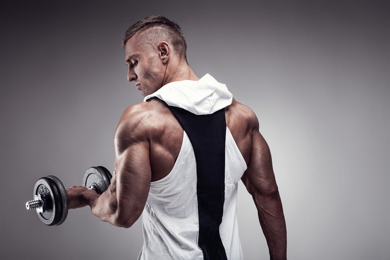 Strengthen Your Back: 5 Essential Exercises for Comprehensive Back Muscle Training