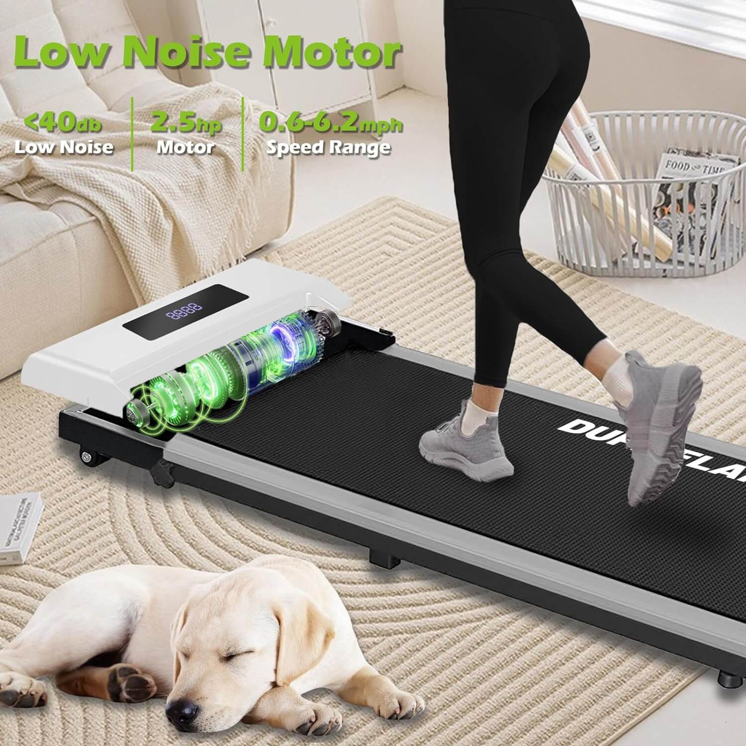 DUPLIFLARE Walking Pad With Incline product description about low noise motor(less than 40db).